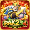 pak234 game